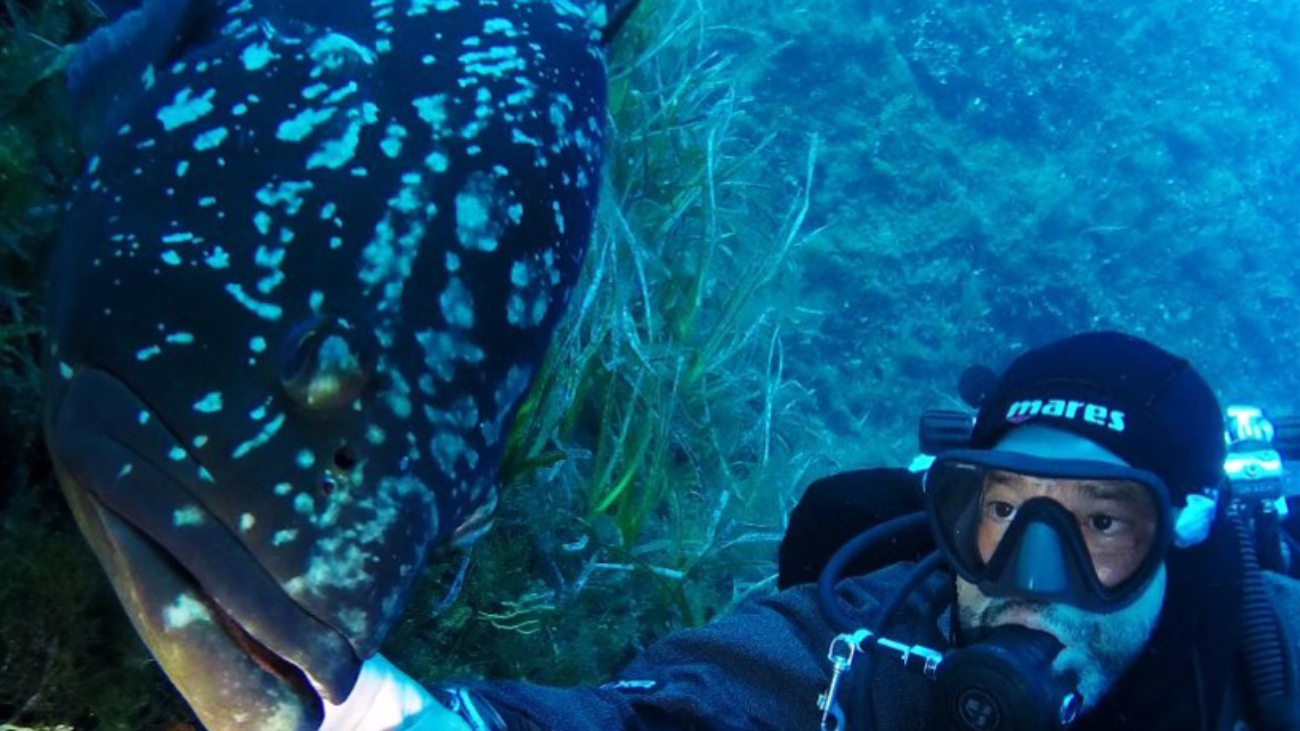 Selfie con Sua Maestà del Mediterraneo