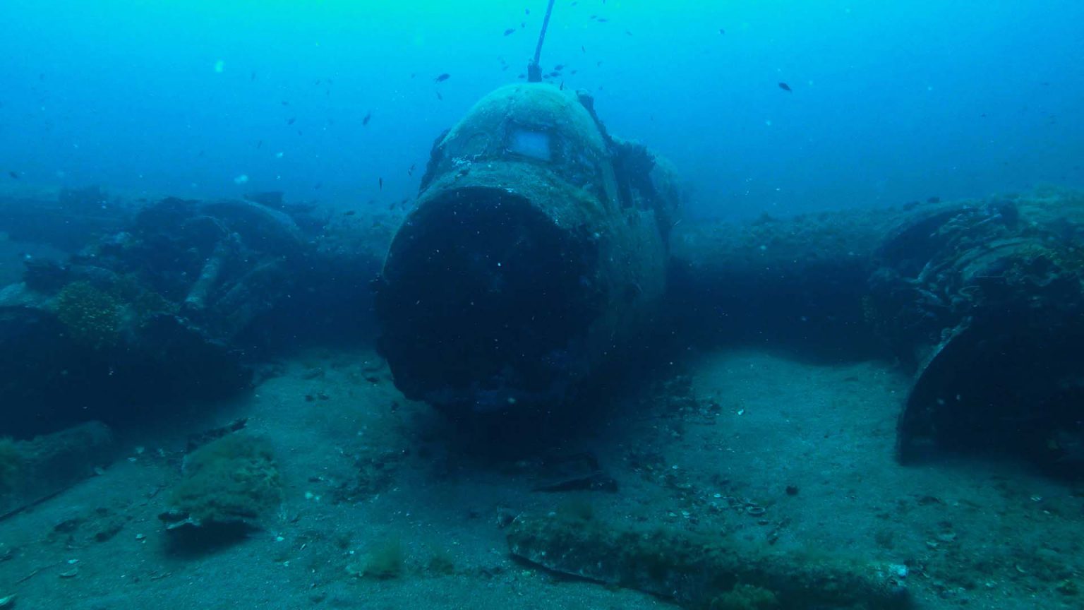 Lo junker 88 di Santa Caterina in assetto di volo sulla sabbia