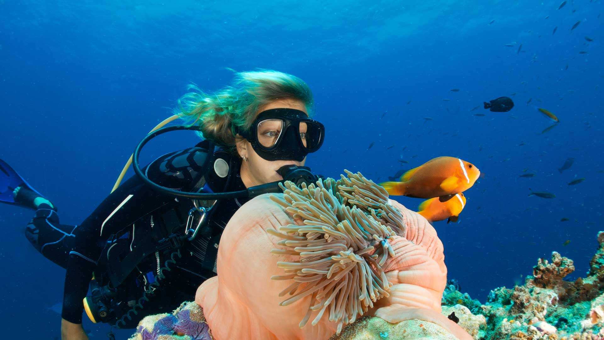 Le immersioni curano i pazienti affetti da stress post traumatico
