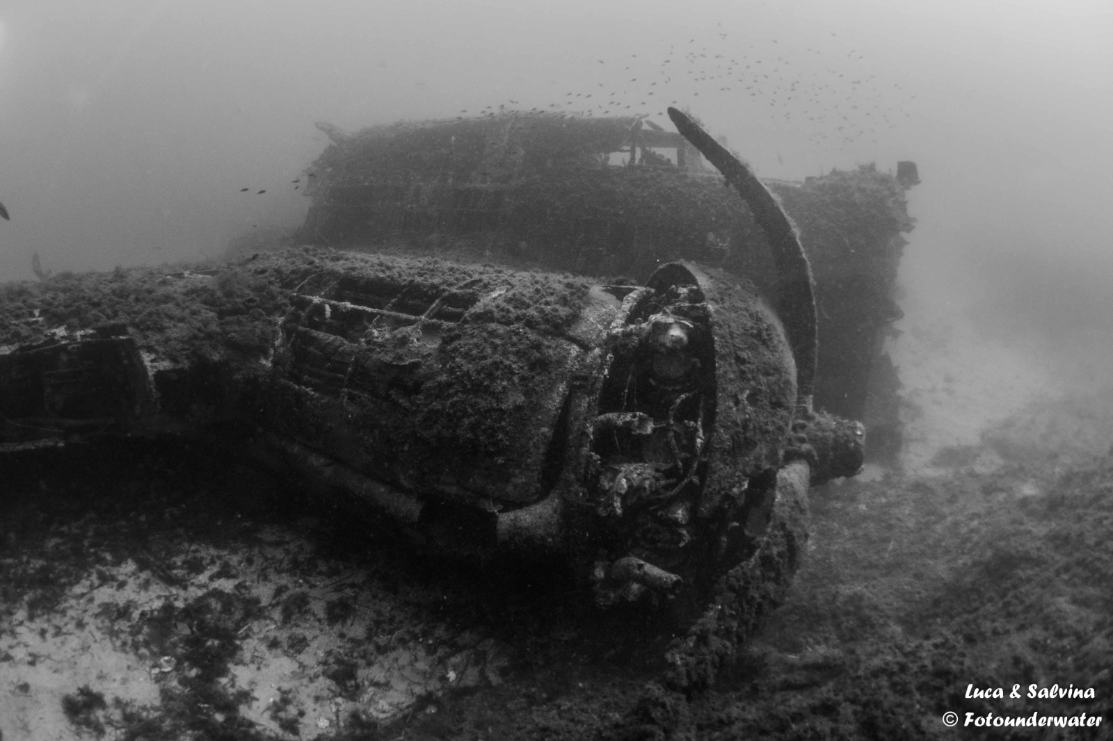 Immersione sul relitto dell'aereo di Calvi