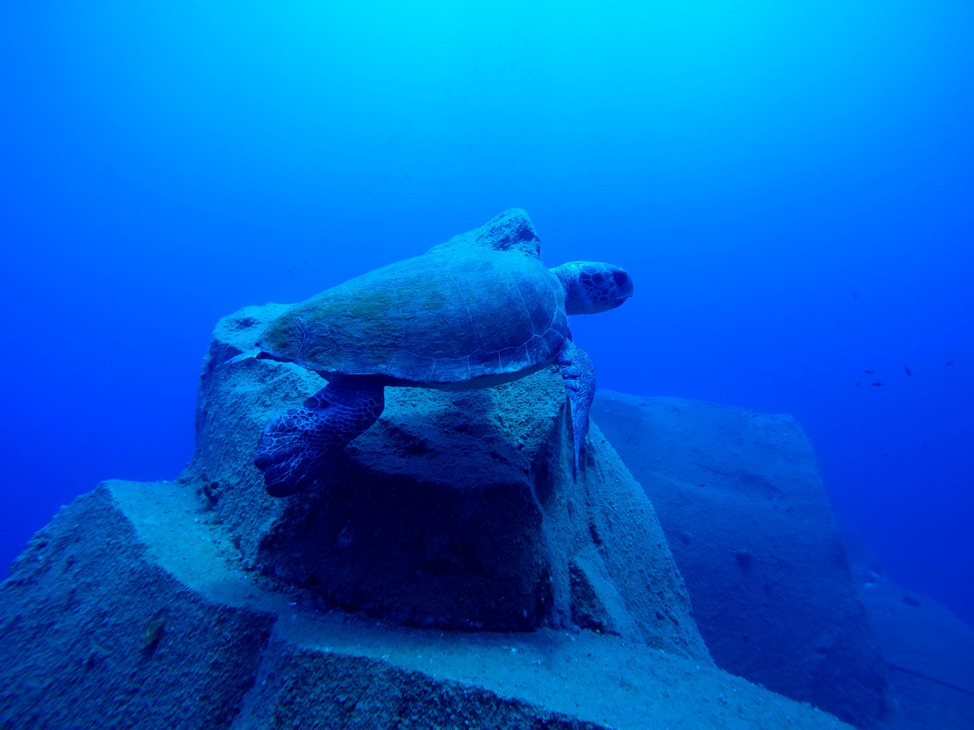 Incredibili immersioni a Santorini