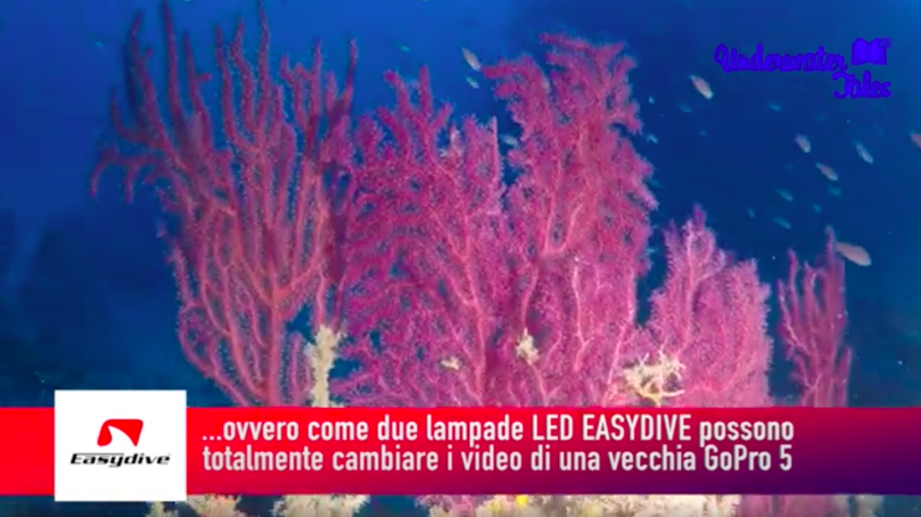 Easydive_Led_Revolution